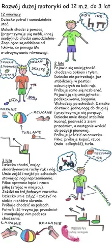 "Rozwój dużej motoryki od 12 miesięcy do 3 lat"